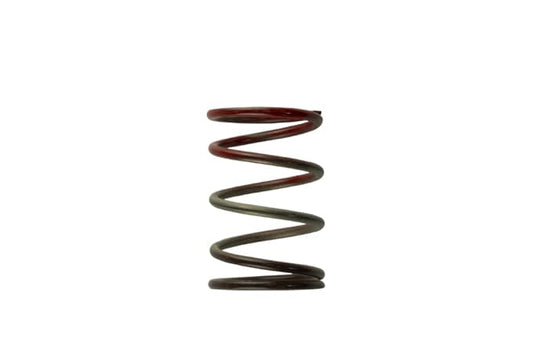 Turbosmart Turbocharger Wastegate Spring TS-0505-2004