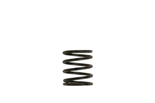 Turbosmart Turbocharger Wastegate Spring TS-0505-2001