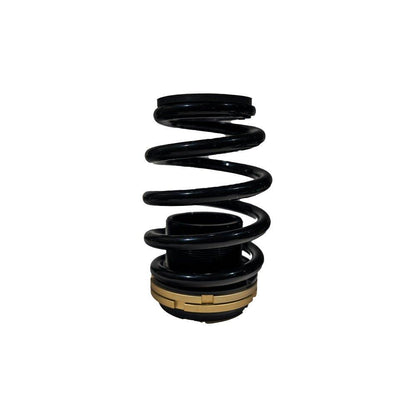 BLOX Racing Plus Series Pro Coilovers - 12-13 Civic Si