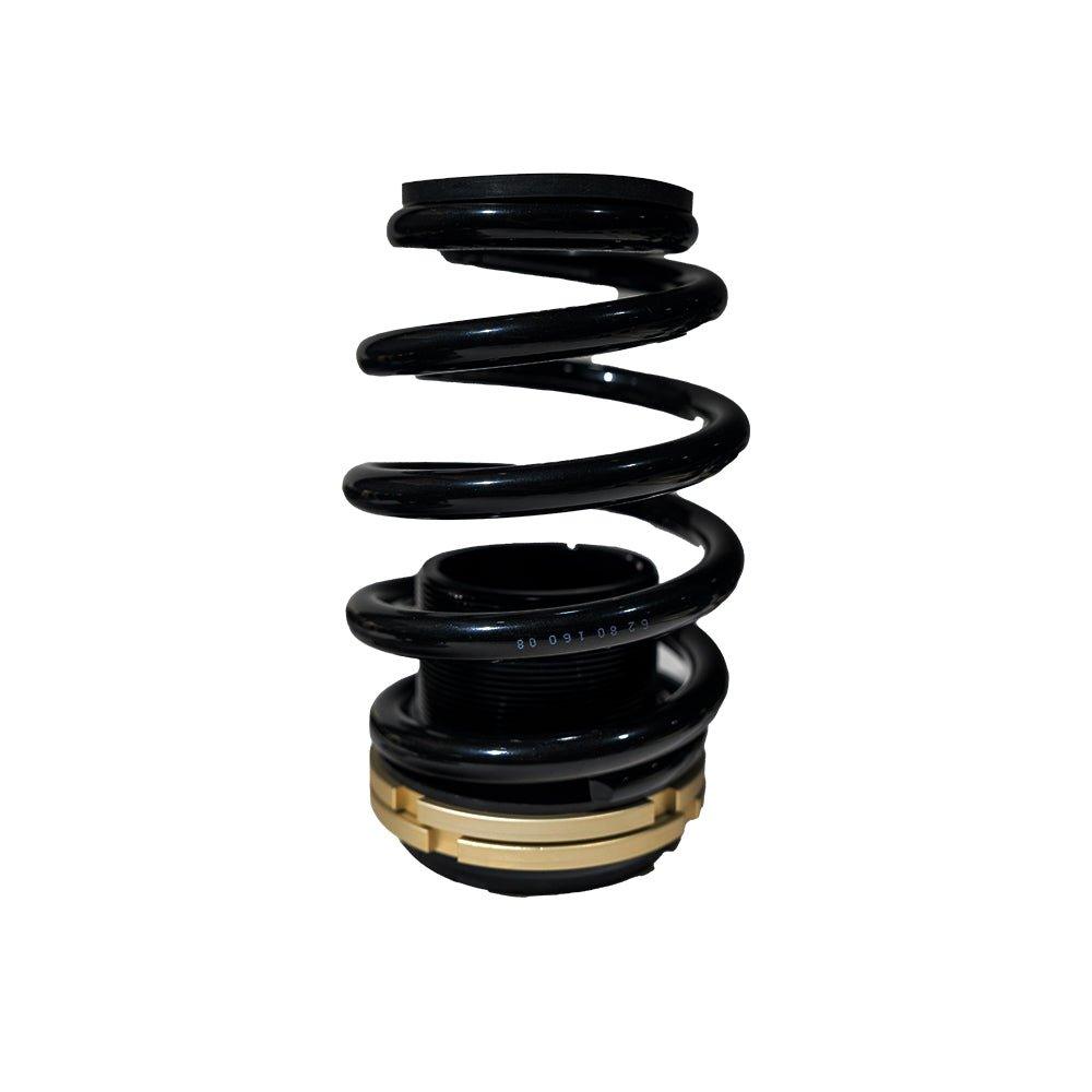 BLOX Racing Plus Series Pro Coilovers - 14-15 Civic Si