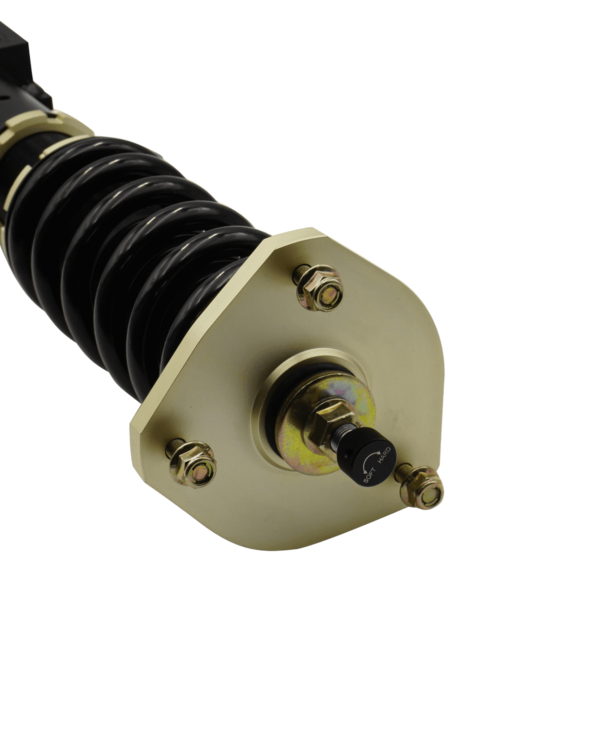 BLOX Racing Plus Series Pro Coilovers - 17-23 Model 3 AWD
