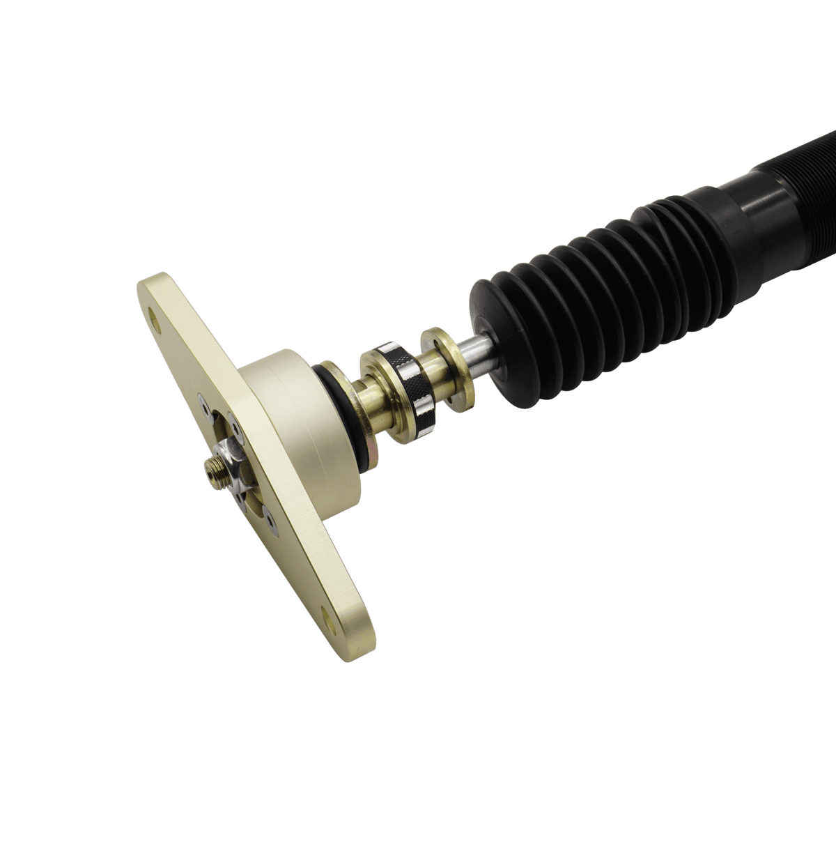 BLOX Racing Plus Series Pro Coilovers - 17-23 Model 3 AWD