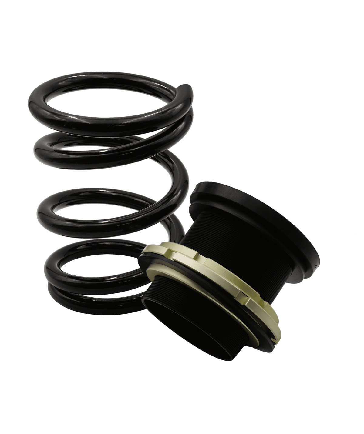 BLOX Racing Plus Series Pro Coilovers - 2020-2025 Model Y