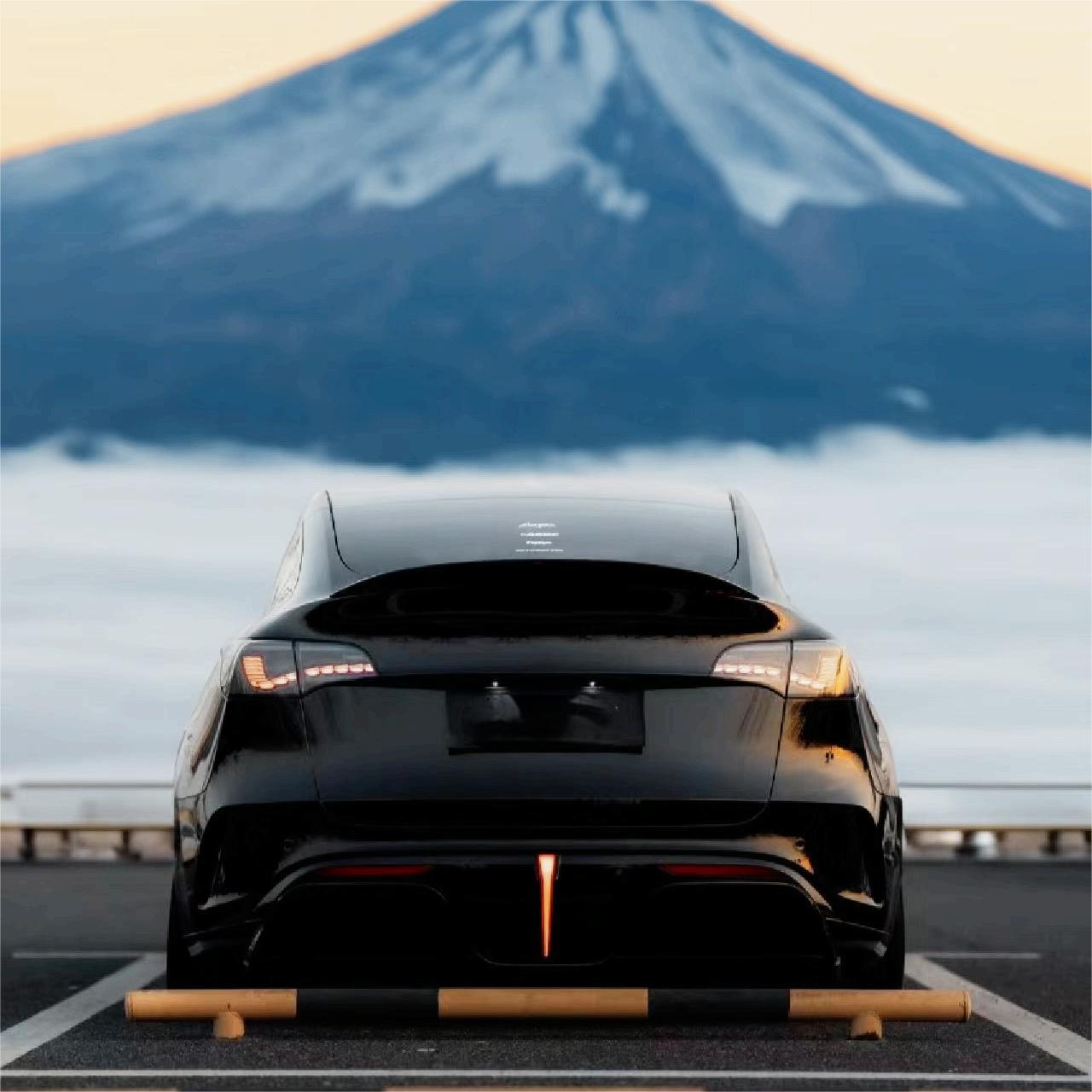 TESERY Dragon Scale Tail Lights for Model 3/Y