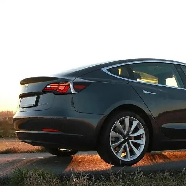 TESERY Dragon Scale Tail Lights for Model 3/Y