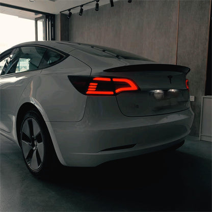 TESERY Eagle Eye Taillight Upgrade for Model 3/Y