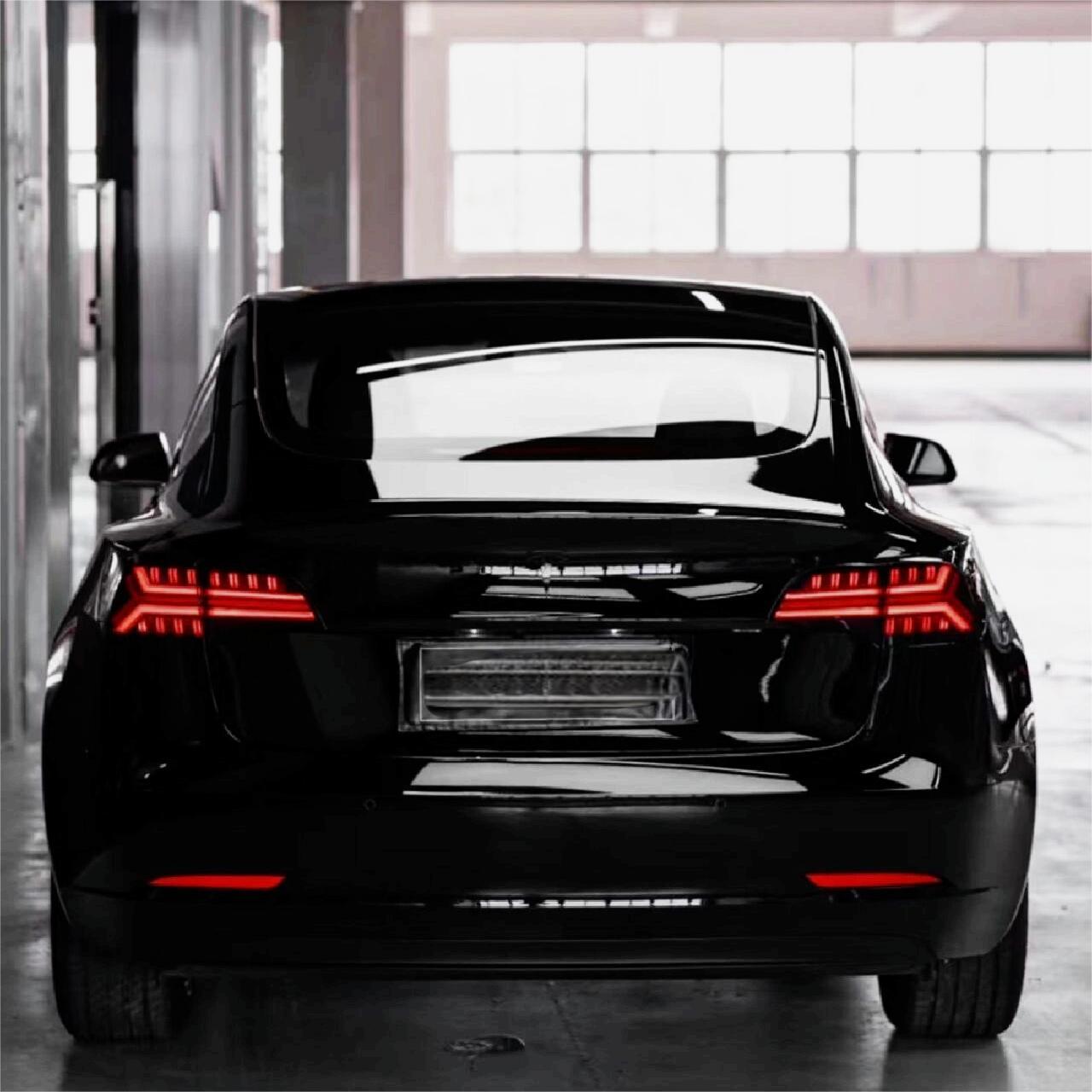 TESERY Fish Bone Tail Light for Model 3/Y