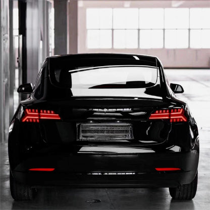 TESERY Fish Bone Tail Light for Model 3/Y