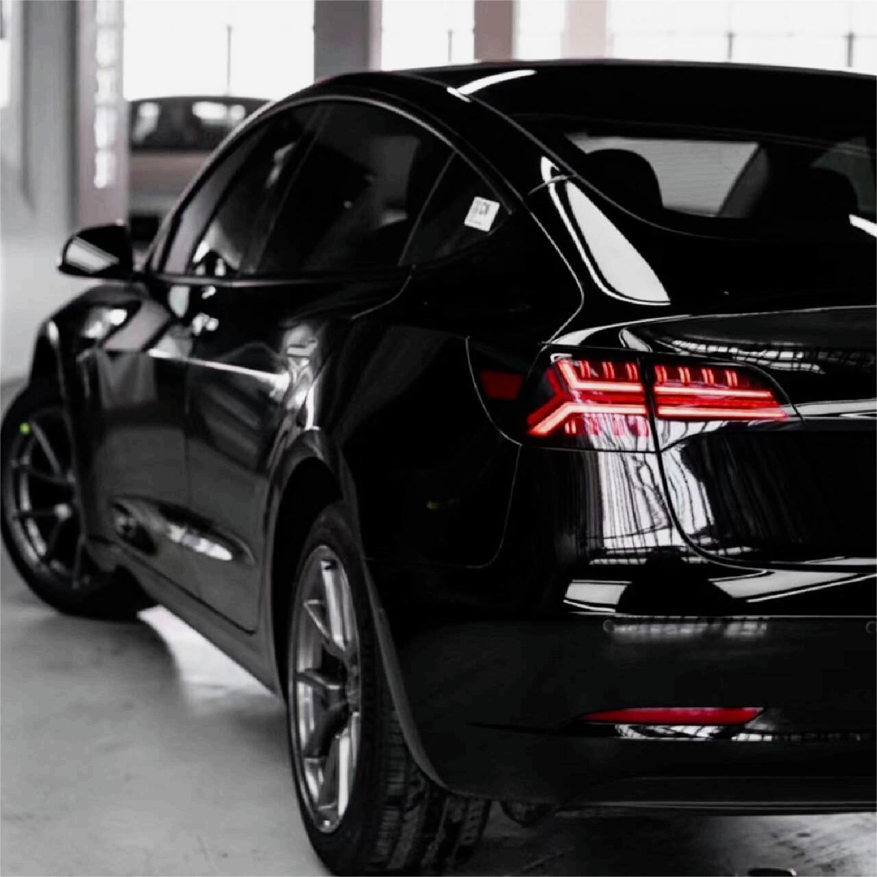 TESERY Fish Bone Tail Light for Model 3/Y