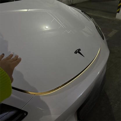 TESERY RGB LED Frunk Light Strip for Model 3/Y/S /X