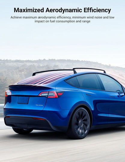 TESERY Roof Rack for Tesla Model 3 Highland / Model Y (Set of 2)