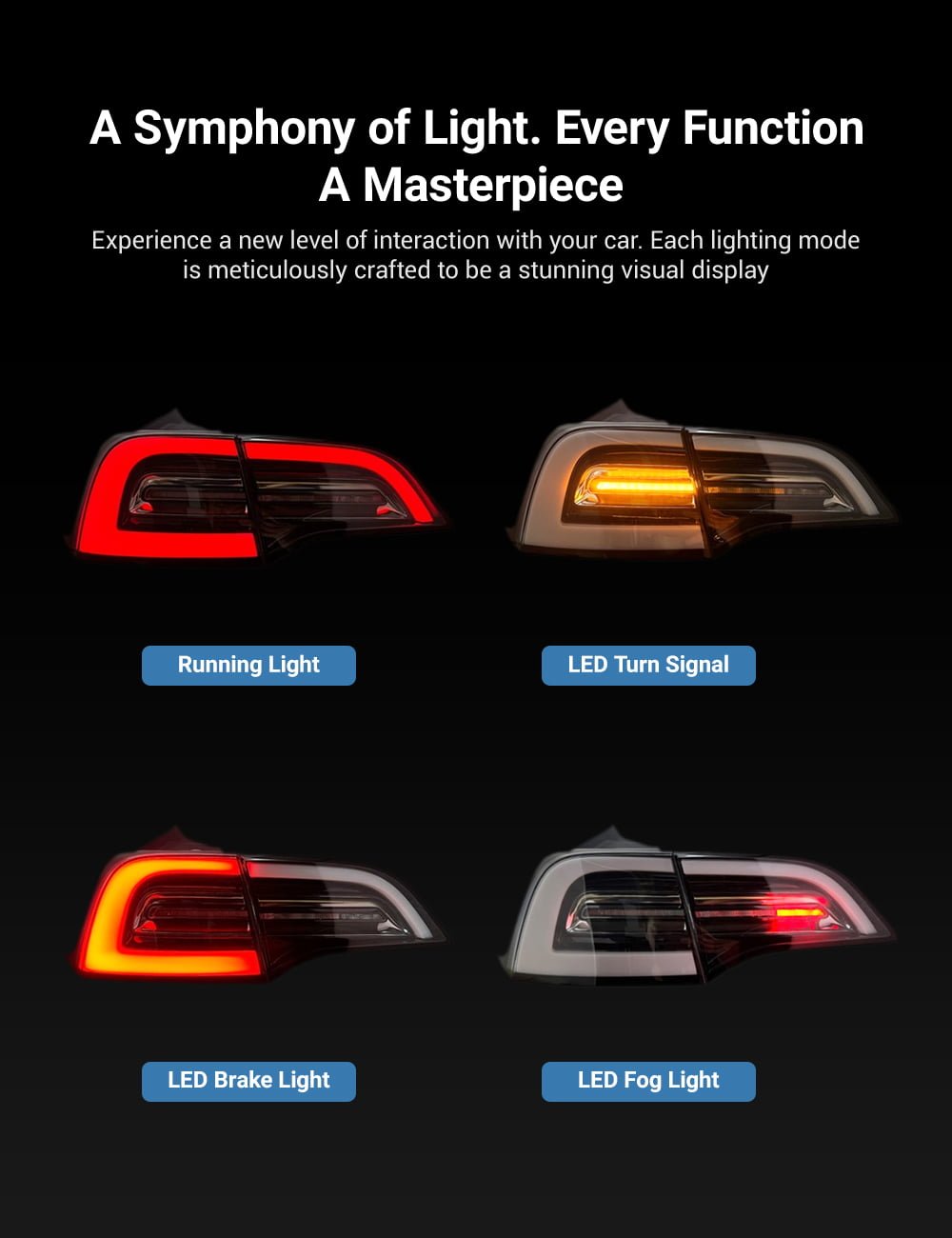 Model 3/Y Venom Style Tail Lights丨Stylish Upgrade | TESERY