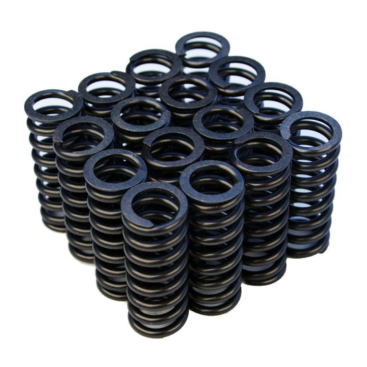 BLOX Racing Valve Springs - D-Series SOHC VTEC