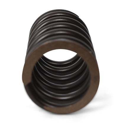 BLOX Racing Valve Springs - F-Series DOHC VTEC