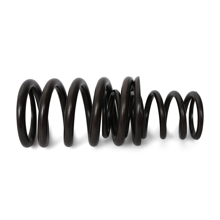 BLOX Racing Valve Springs - F-Series DOHC VTEC