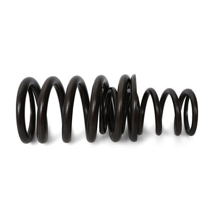 BLOX Racing Valve Springs - F-Series DOHC VTEC