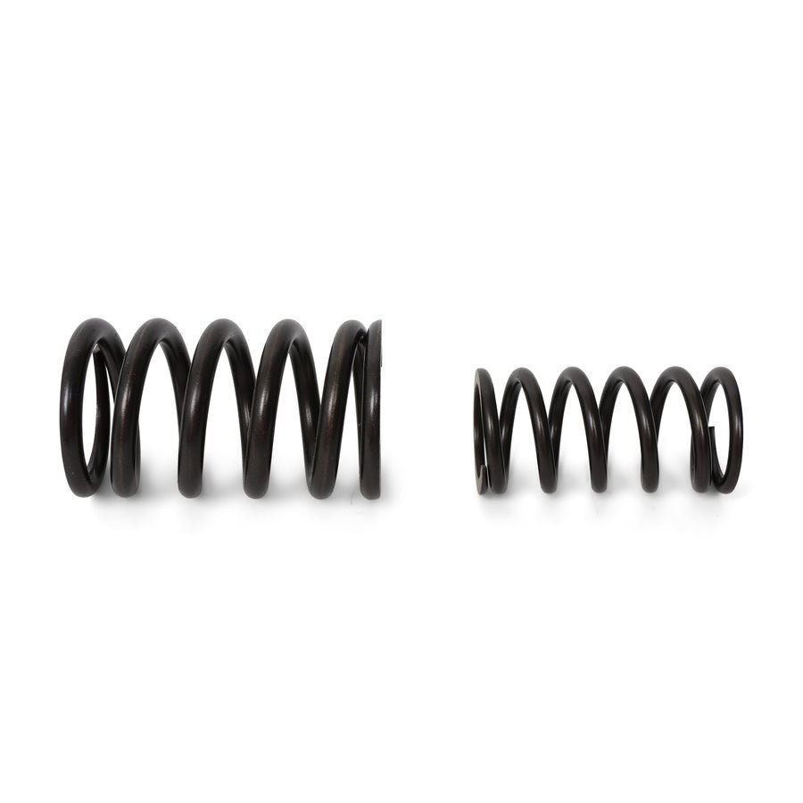 BLOX Racing Valve Springs - F-Series DOHC VTEC