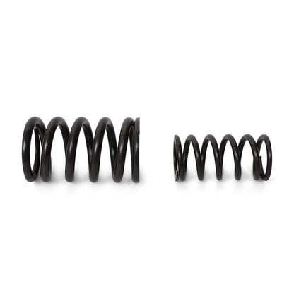 BLOX Racing Valve Springs - F-Series DOHC VTEC