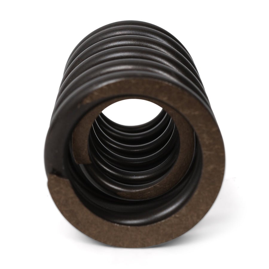 BLOX Racing Valve Springs - F-Series DOHC VTEC