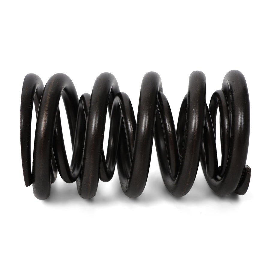 BLOX Racing Valve Springs - F-Series DOHC VTEC