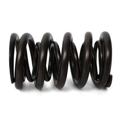 BLOX Racing Valve Springs - F-Series DOHC VTEC