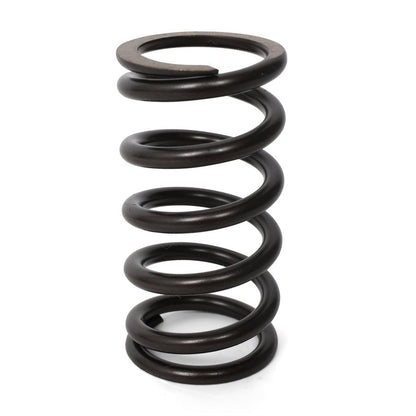 BLOX Racing Valve Springs - F-Series DOHC VTEC