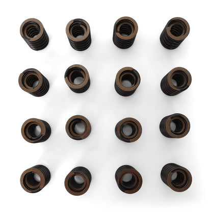 BLOX Racing Valve Springs - F-Series DOHC VTEC