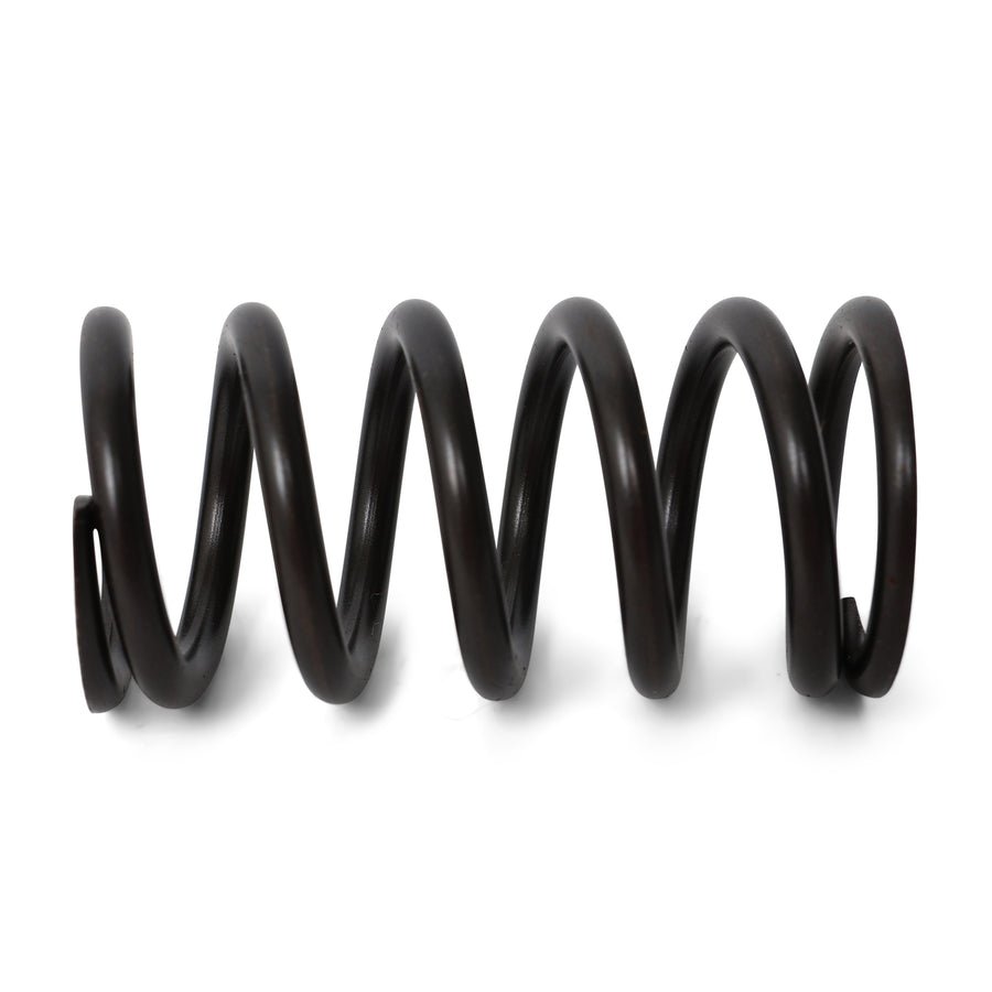 BLOX Racing Valve Springs - F-Series DOHC VTEC