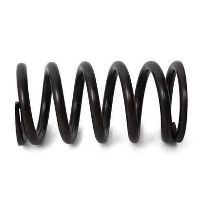 BLOX Racing Valve Springs - F-Series DOHC VTEC