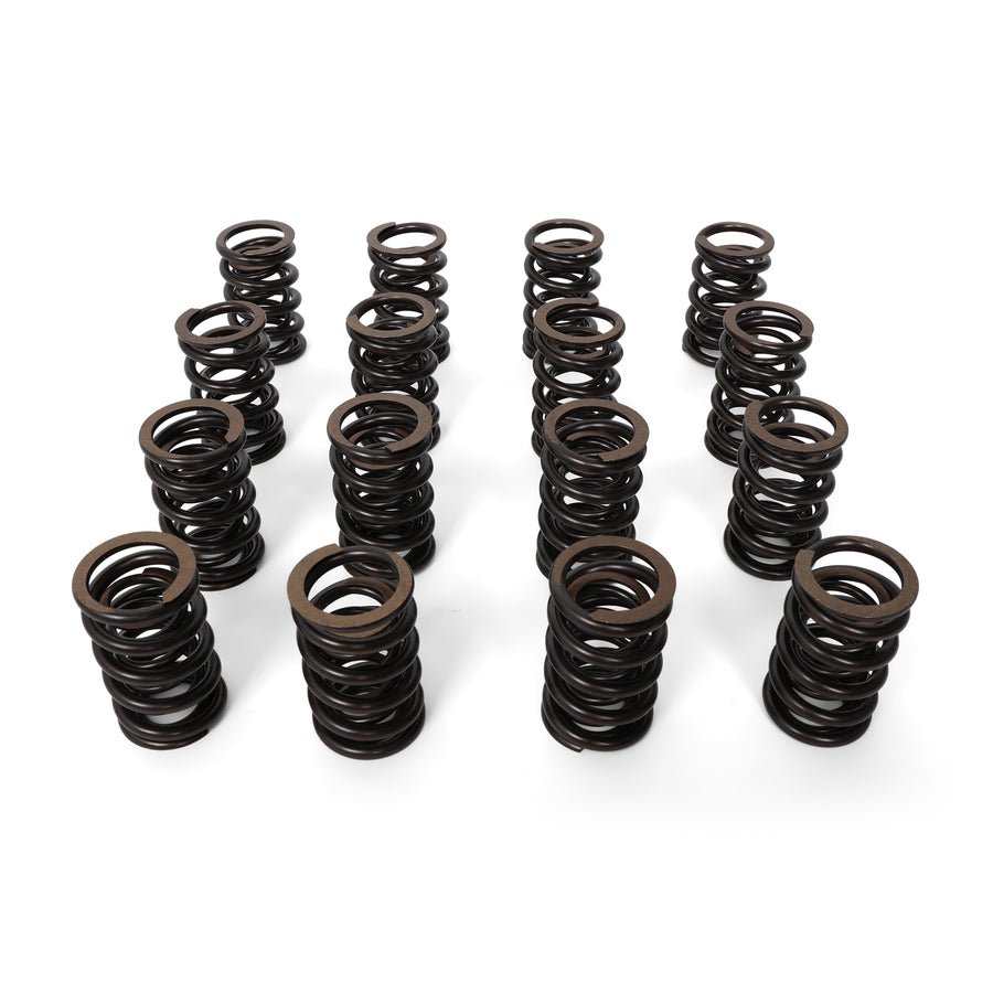 BLOX Racing Valve Springs - F-Series DOHC VTEC