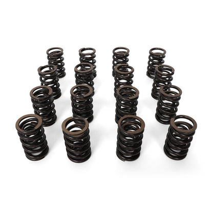 BLOX Racing Valve Springs - F-Series DOHC VTEC