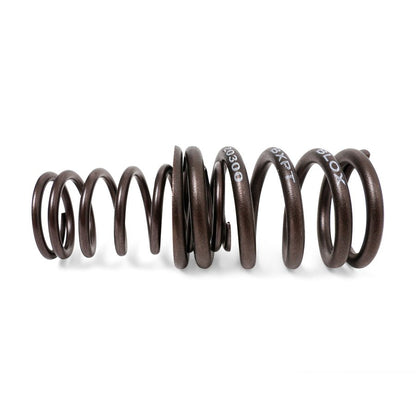 BLOX Racing Valve Springs - H-Series DOHC VTEC