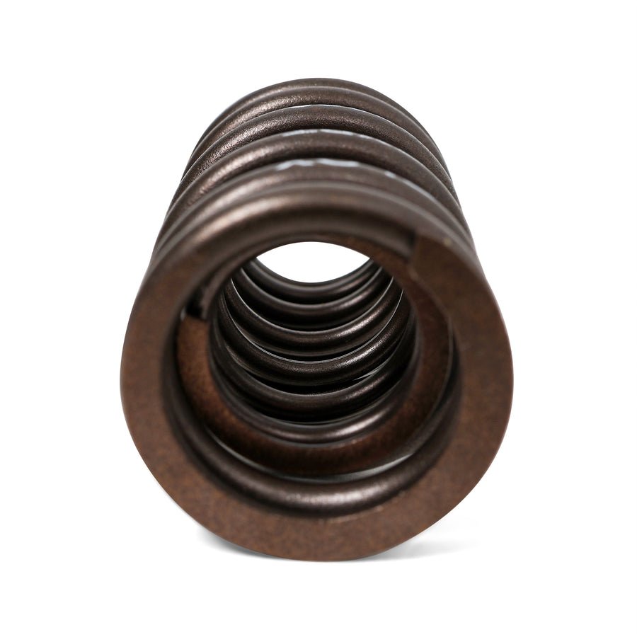 BLOX Racing Valve Springs - H-Series DOHC VTEC