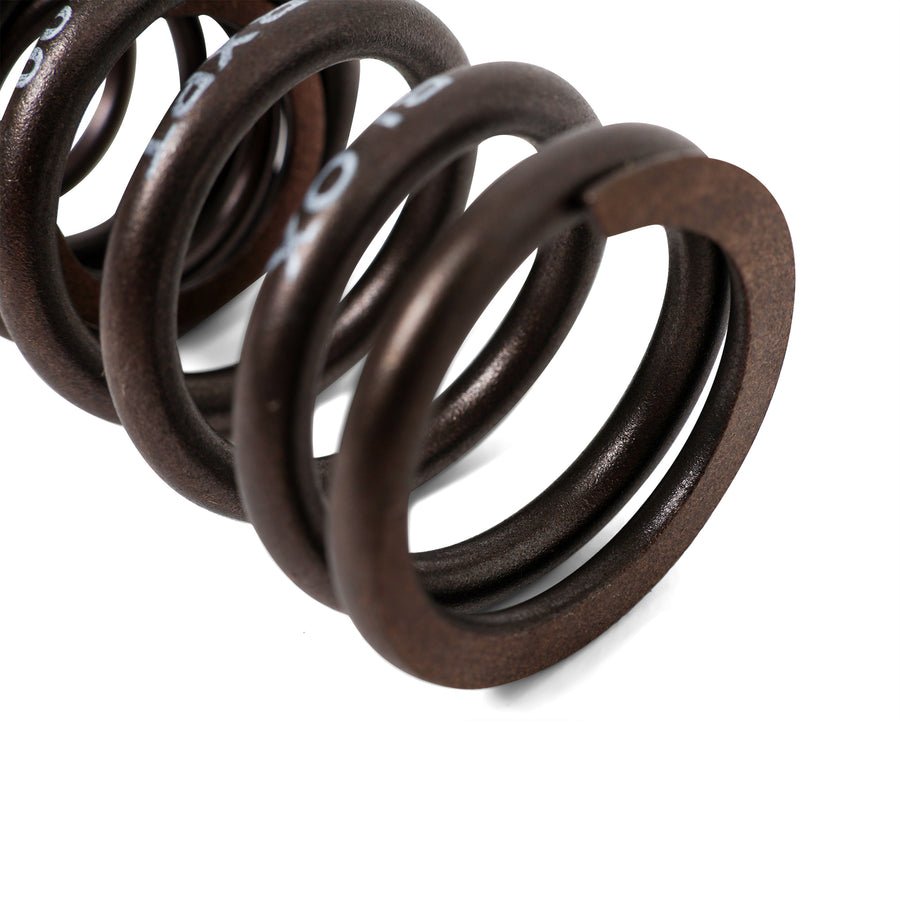 BLOX Racing Valve Springs - H-Series DOHC VTEC