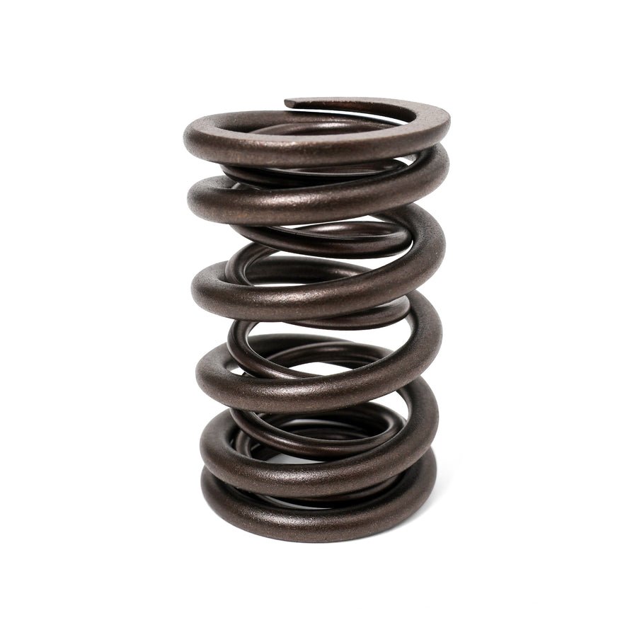 BLOX Racing Valve Springs - H-Series DOHC VTEC