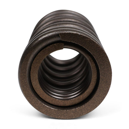 BLOX Racing Valve Springs - K-Series DOHC iVTEC