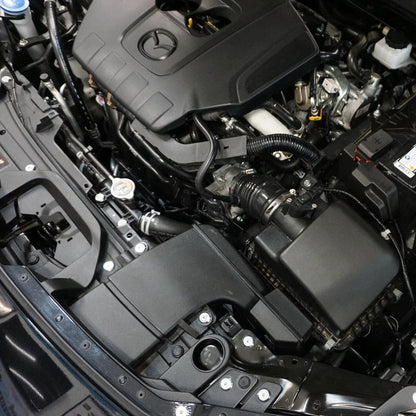 ZSPEC Stage-3 Dress Up Bolts® Fastener Kit for 2020-2024 Mazda CX-30, Stainless & Billet