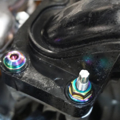 ZSPEC Stage-2 Dress Up Bolts® Fastener Kit for '16-23 Toyota Tacoma N300, Titanium