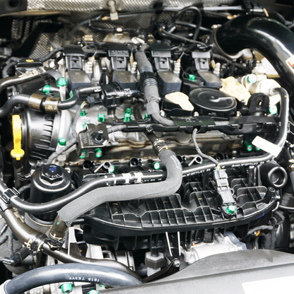 ZSPEC Stage-3 Dress Up Bolts® Fastener Kit for '15+ VW Golf GTI 2.0L MK7, Stainless & Billet