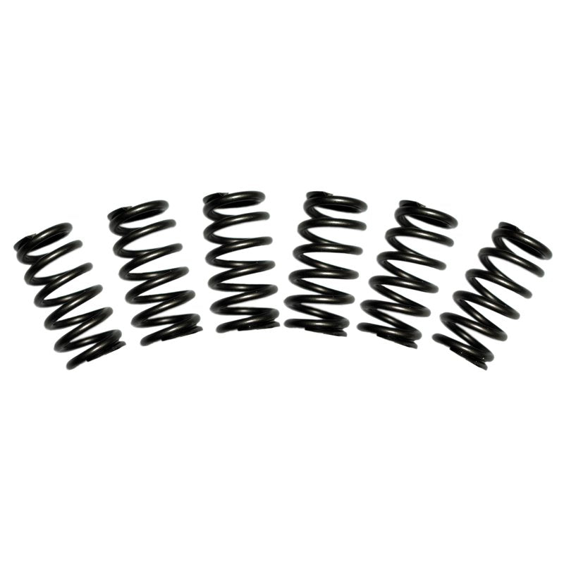 BD Diesel 5.9L Cummins Valve Spring Kit 60lbs Dodge 1988-1998 12-valve 1030060