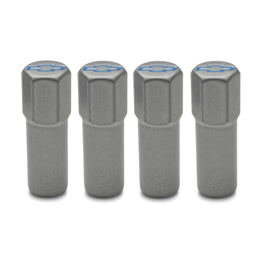 Proform Engine Valve Cover Mini Nuts; Steel; Gray; Bowtie Logo; Studs Included; 4pc 141-367