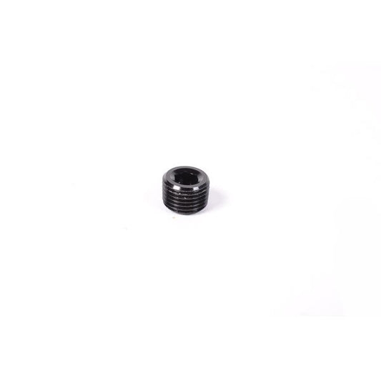 RADIUM Engineering 14-0172 1/8NPT PLUG