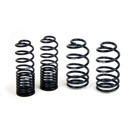 H&R Special Springs Sport Spring Kit 54748