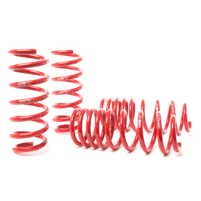 H&R Special Springs Super Sport Spring Kit 28991-1