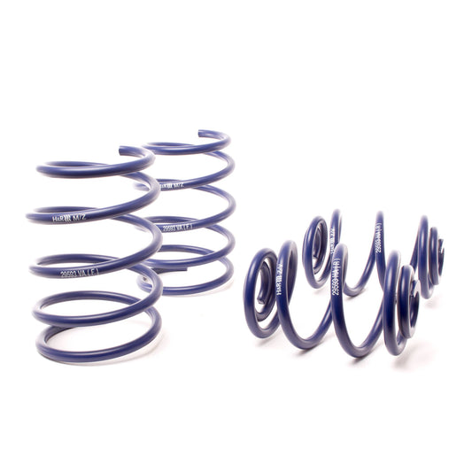 H&R Special Springs Race Spring Kit 29593
