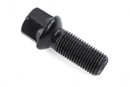 APR Lug Bolts (Set of 10) - 47mm MS100186