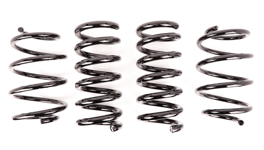 Aldan American Lowering Springs AXS Kit. Front and Rear. Ford Set of 4. Black. 500100