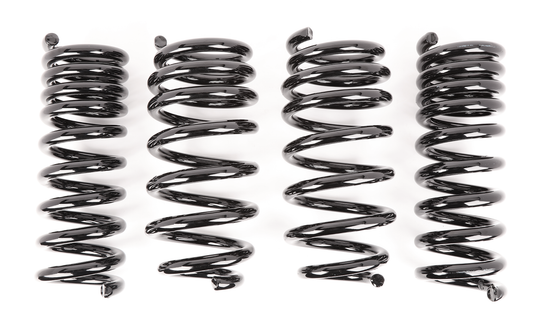 Aldan American Lowering Springs AXS Kit. Front and Rear. Dodge Set of 4. Black. 500101