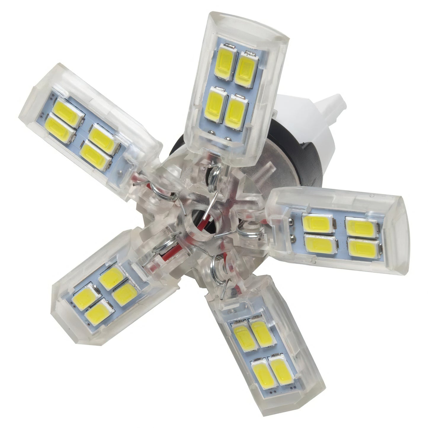 Oracle Lighting 5110-001 - ORACLE 7440 24 SMD 3 Chip Spider Bulb (Single) - Cool White