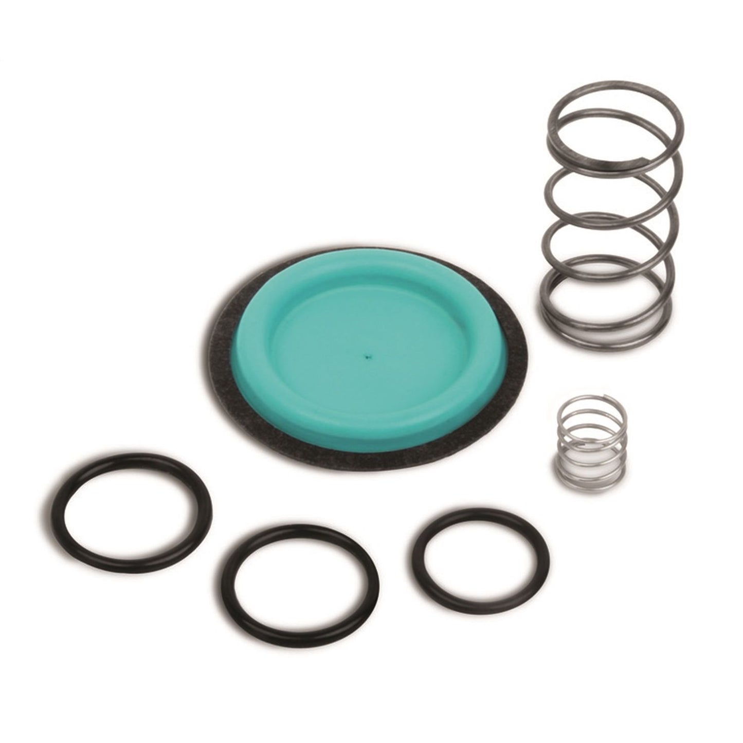 Quick Fuel Technology Fuel Pressure Regulator Rebuild Kit 30-7304QFT